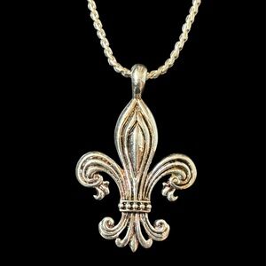 Silver & Bronze Fleur-de-Lis Pendant Necklace. NWT